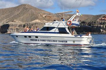 Gran Canaria Beach Hopping Cruise by Motor Yacht with Lunch