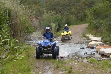 Half-Day South Mallorca Off-Road Quad Bike Tour