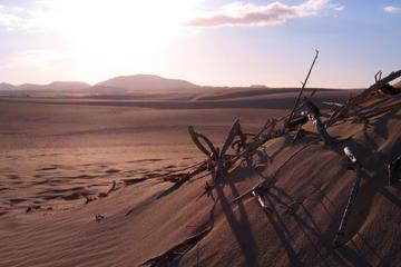 Lanzarote Volcanic Interior and Off-Road 4x4 Jeep Full-Day Tour