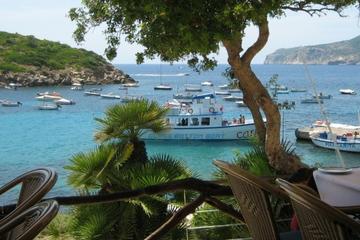 Malgrats Islands Boat Tour from Paguera or Santa Ponsa