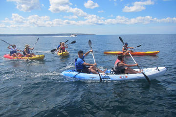 Palma Bay Kayak and Snorkel Tour for Beginners