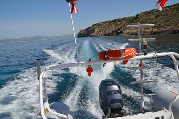 Palma Bay Snorkeling and Boat Tour