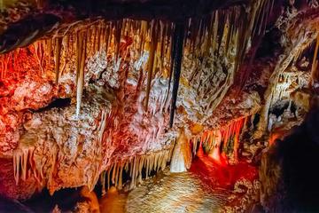 Palma Caves and Food