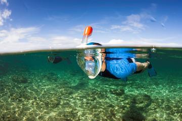 Snorkeling in Palma's Bay Marine Park