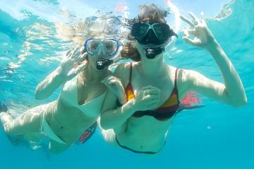 Snorkeling Tour by Boat in the North of Mallorca