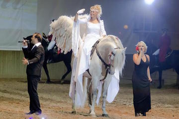 SOMNI - the original equestrian show