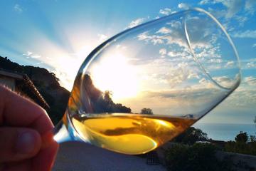 Sunset wine tasting in Majorca