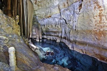 Swimming and Caving in Cova des Coloms