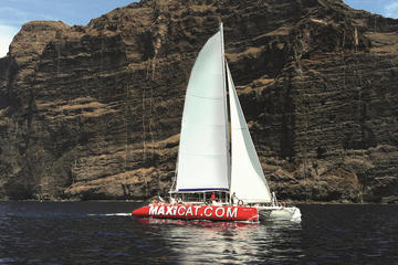 Tenerife Catamaran Cruise from Puerto Colon
