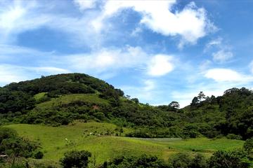 Coffee Lovers Tour from Managua