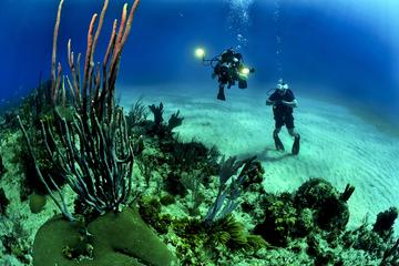 Scuba Diving Day Trip from Cartagena