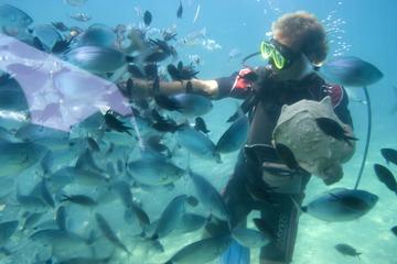 Snorkeling Day Trip from Cartagena