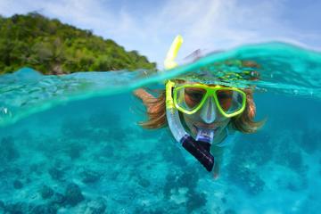 Snorkeling - Day Trip from Santa Marta