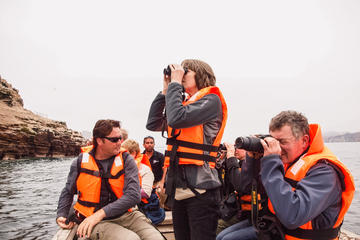 Half-Day Tour Pucusana Fishing Village and Wildlife from Lima