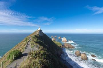 Catlins Coastal Helicopter Tour from Queenstown