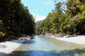 West Coast Stafford Route 2 Day Hike from Queenstown