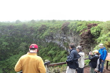4-Day Darwin Footprints Tour