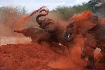 3-Day Tsavo West and Taita Hills Luxury Safari from Nairobi