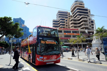Teneriffa Landausflug: Stadtrundfahrt mit Hop-on-Hop-off-Tour durch ...
