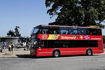 Tour Hop-On Hop-Off di Copenhagen con