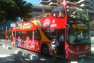 Tour Hop-On Hop-Off di Santa Cruz de