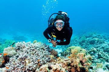 2 Tank Barrier Reef Scuba Diving at Silk Cayes
