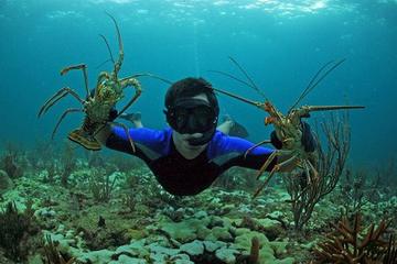 Lobster Hunt and Beach BBQ