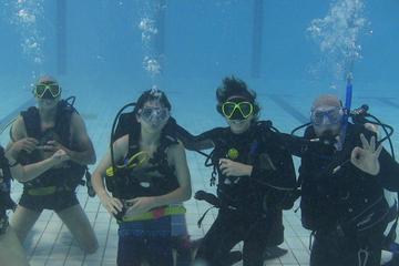 Private PADI Open Water Diver Certification Course