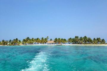 Snorkeling Adventure at Laughing Bird Caye National Park