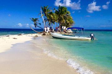 Turtle Snorkel at The Silk Cayes Marine Reserve Shared Departure