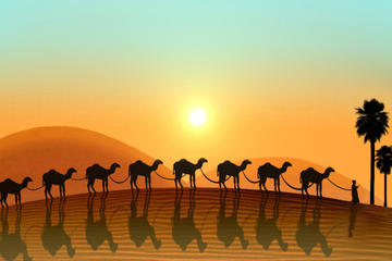 Dubai Morning Desert Safari and City Tour