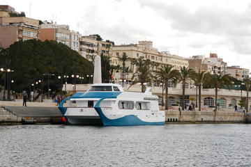 Cartagena Sightseeing Cruise and Fortress of 'Navidad'