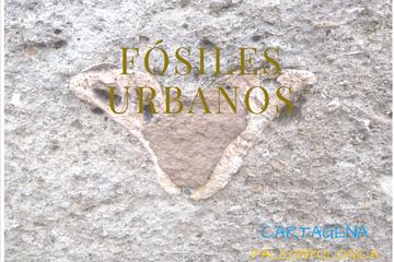 Paleontological tour in Cartagena