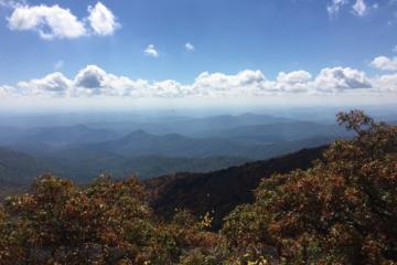 Bartram Trail Hike plus Wine Tasting