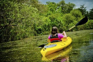 Kayaking on Broad River with Wine Tasting