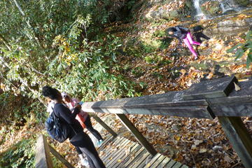 Victoria Bryant State Park Hike with Wine Tasting