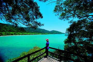 Daintree Rainforest, Cape Tribulation and Rainforest Habitat Wildlife Sanctuary Day Tour