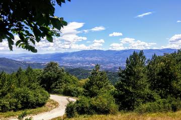 Adventure Chianti Tour: Off-Road 4WD ride outside Florence