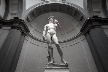 Uffizi and Accademia Walking Tour