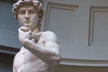 Walk with David: Florence Half Day Accademia Gallery and 2-hours walking guided tour
