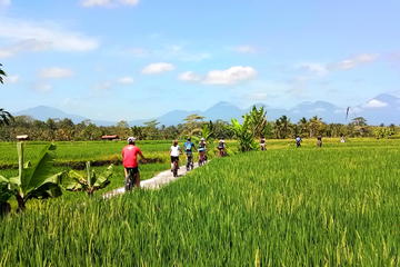 Electric Cycling Tour from Sanur to Ubud