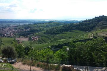 Valpolicella Experience! Wine and Food tour from Lake Garda
