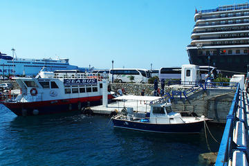 Mykonos Shore Excursion: 5-Hour Delos Island Day trip from Mykonos
