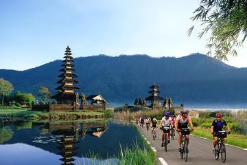 Full-Day Bali Sightseeing Tour with Bike Ride