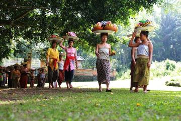 Private Tour: Best of Ubud