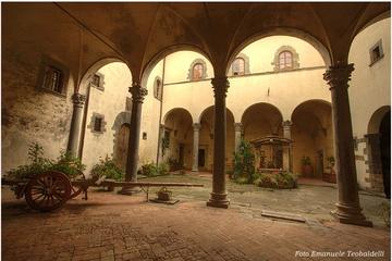 Castle and Cellar near Florence with Visit and Tasting of E V Olive Oil and wine
