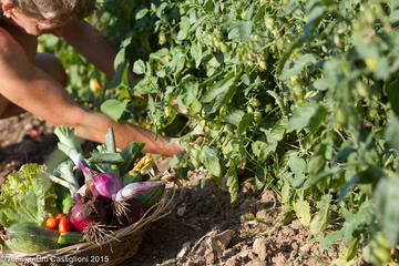 Vegetarian Cooking Class with EVOO and Castle cellars tour and wine tasting