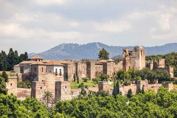 Alcazaba and Nasrid Palace in Malaga Private Walking Tour