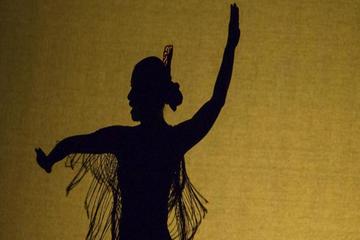 Malaga Tour with Flamenco and Live Music Show