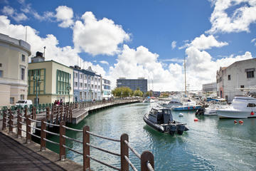Bridgetown Shore Excursion: Barbados in a Day